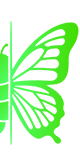 Shape Image